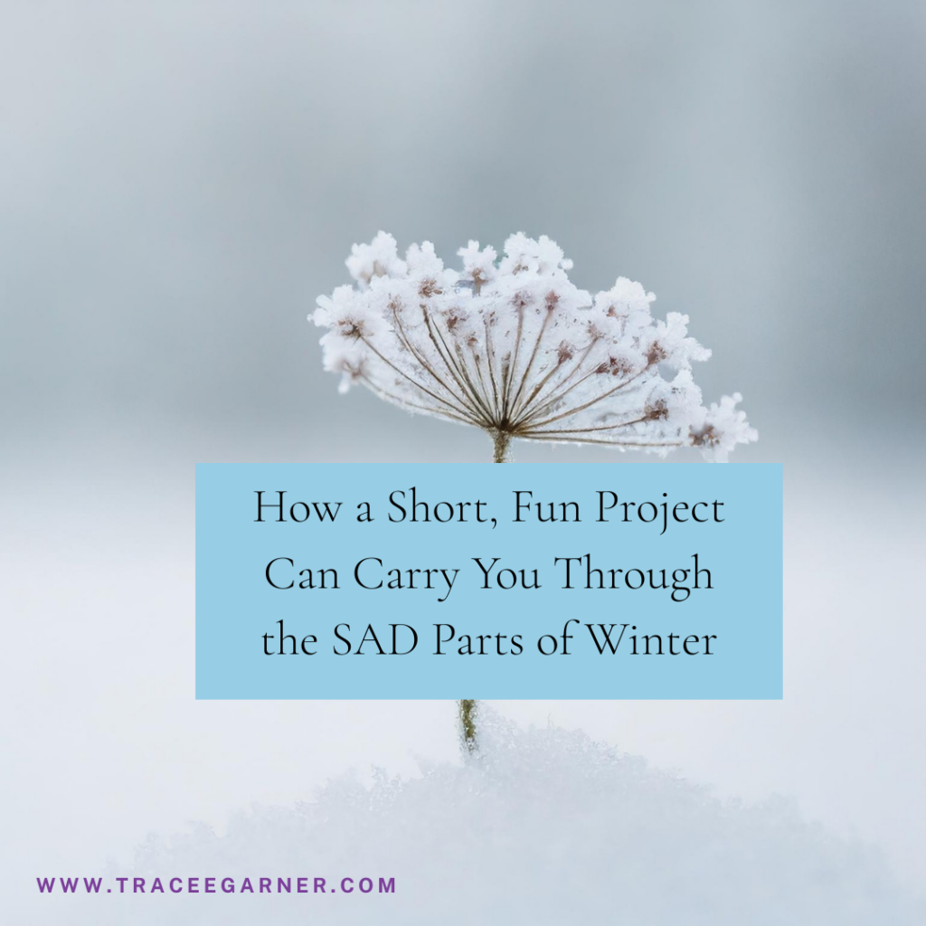 A Winter Project To Help You to Spring Anew?